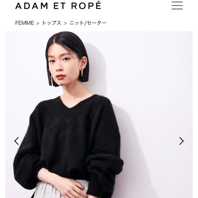 Adam et Rope'(アダムエロぺ)のアダムエロペ　FOXウールVネックプルオーバー レディースのトップス(ニット/セーター)の商品写真