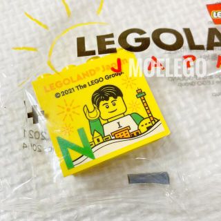 レゴ(Lego)のバディ レゴランド ブロック ブリックスオブザイヤー(その他)