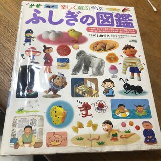 ショウガクカン(小学館)のふしぎの図鑑 楽しく遊ぶ学ぶ(絵本/児童書)