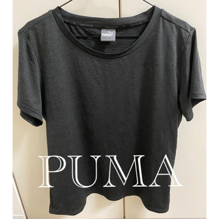 プーマ(PUMA)の人気❣️PUMA プーマ　美品❣️トップス　Tシャツ(Tシャツ(半袖/袖なし))