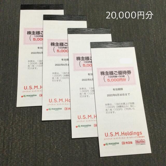 USMH 株主優待21000円分