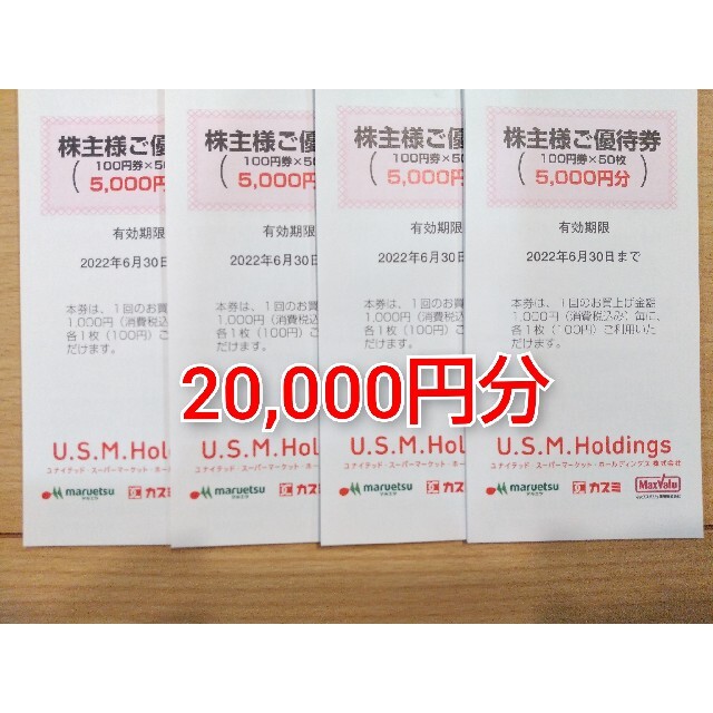 ユナイテッドスーパー 株主優待 20,000円分 - www.glycoala.com