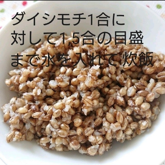 令和3年産 ダイシモチ 玄麦 食品/飲料/酒の食品(米/穀物)の商品写真