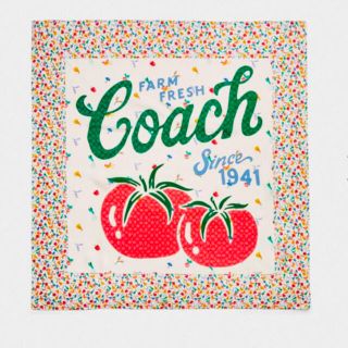 コーチ(COACH)のガーデン パッチワーク プリント シルク スクエア スカーフ チョーク(バンダナ/スカーフ)