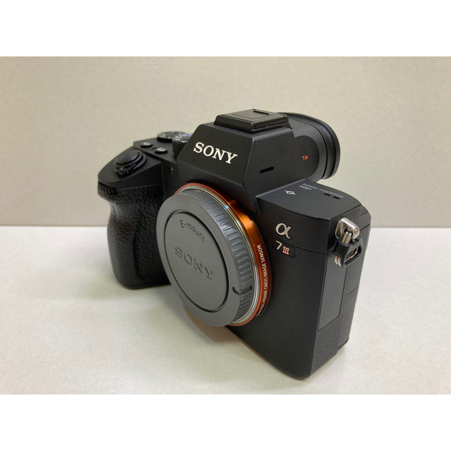 SONY(ソニー)のSONY α7 III +おまけボディケース スマホ/家電/カメラのカメラ(ミラーレス一眼)の商品写真