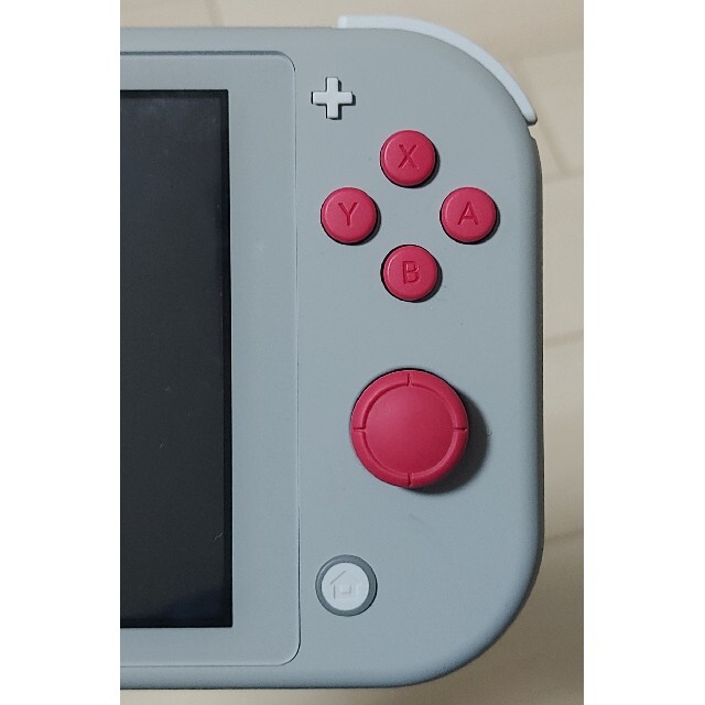 Nintendo Switch Lite ザシアン・ザマゼンタ 5