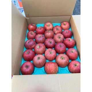 林檎　サンフジ　約10キロ  秀品　46玉(フルーツ)