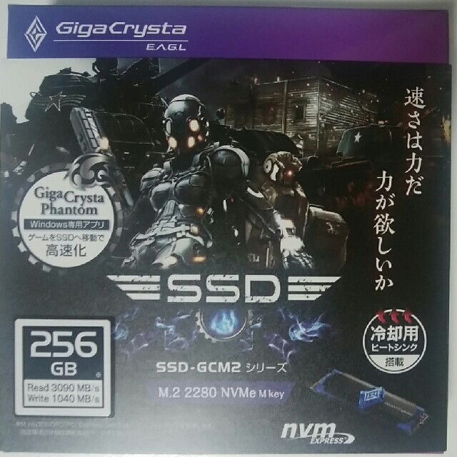 GigaCrysta E.A.G.L M.2 NVMe SSD 256GB