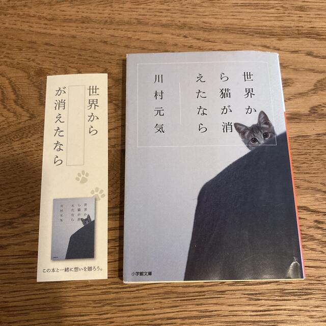 世界から猫が消えたなら 川村 元気 しおりつき エンタメ/ホビーの本(文学/小説)の商品写真