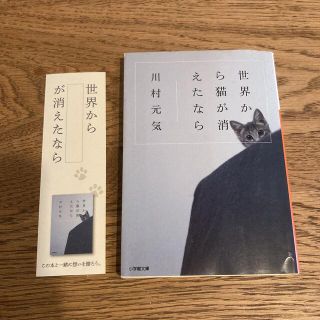 世界から猫が消えたなら 川村 元気 しおりつき(文学/小説)