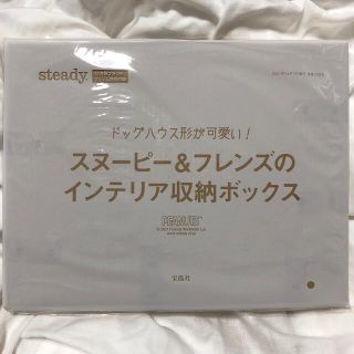 スヌーピー(SNOOPY)のsteady. 12月号付録 スヌーピー&フレンズのインテリア収納ボックス(小物入れ)