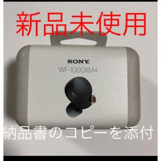 ソニー(SONY)のpainter様専用(その他)