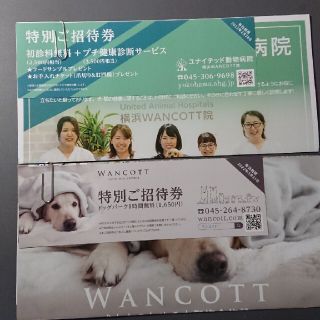 ユナイテッド動物病院(初診料・健康診断サービス)、WANCOTTドッグパーク券(その他)