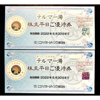 エコナック　株主優待券　2枚　テルマー湯　平日ご優待券　(その他)
