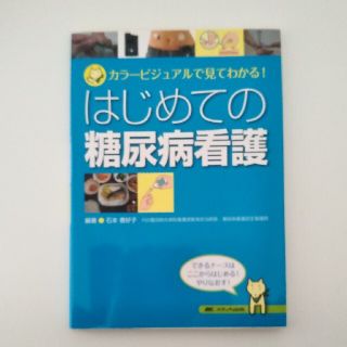 はじめての糖尿病看護 カラービジュアルで見てわかる！(健康/医学)