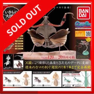 バンダイ(BANDAI)の☆720 いきもの大図鑑　かまきり02 ヒシムネカレハカマキリ他 全6種セット(その他)