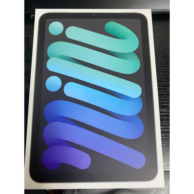 iPad mini6 Cellular Wi-Fi 256GB スペースグレイ 高質で安価 www