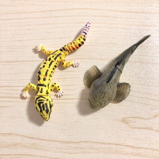 カイヨウドウ(海洋堂)のヒョウモントカゲモドキ&アユカケ　チョコエッグ 海洋堂(その他)