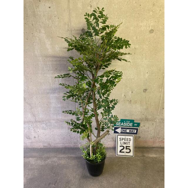 光触媒 人工観葉植物 ウォールグリーン フェイク アレンジ トネリコ150