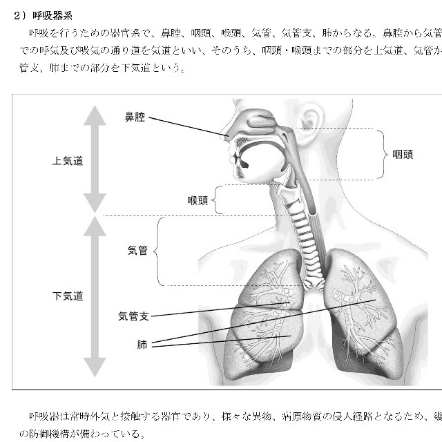 第一種衛生管理者DVD テキスト付き(PDF)＋過去問＋スマホ学習セット！ 3