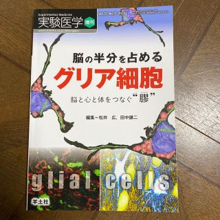 実験医学　脳の半分を占めるグリア細胞 脳と心と体をつなぐ“膠”(健康/医学)