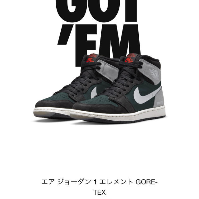 NIKE(ナイキ)のNIKE AIRジョーダン1 ハイエレメントGORE-TEX メンズの靴/シューズ(スニーカー)の商品写真