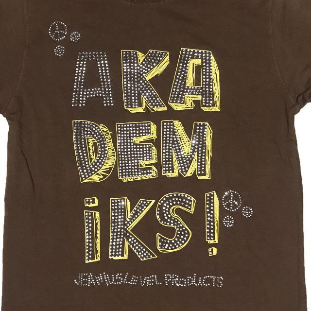 AKADEMIKS(アカデミクス)のAKADEMIKS アカデミクス ブロンドネーム 長袖 Tシャツ L メンズのトップス(Tシャツ/カットソー(七分/長袖))の商品写真