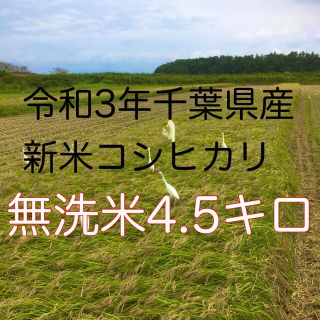 令和3年新米コシヒカリ無洗米4.5キロ(米/穀物)