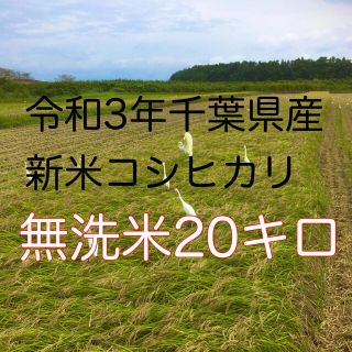 令和3年新米コシヒカリ無洗米20キロ(米/穀物)