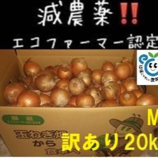 焼酎コレクター様 専用 訳あり 北海道産玉ねぎ Mサイズ 20kg 食品/飲料/酒の食品(野菜)の商品写真