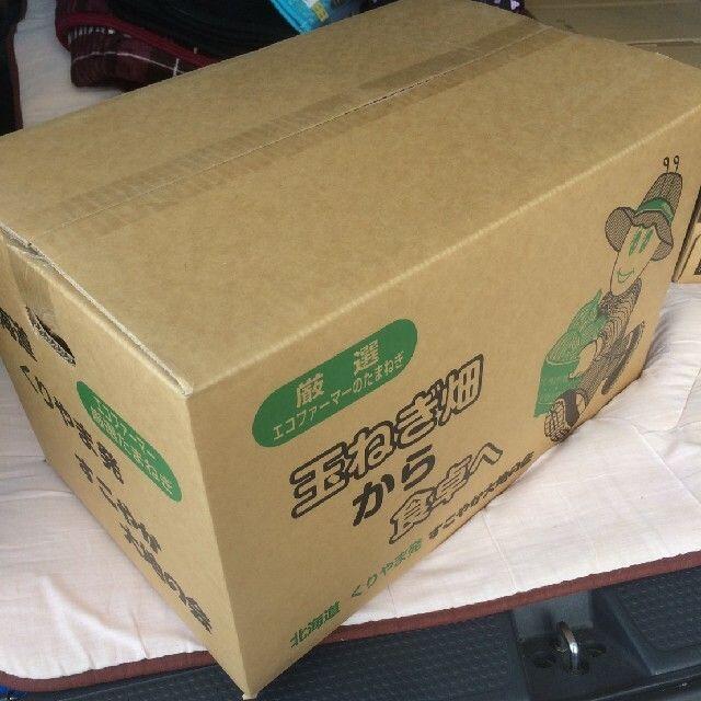 焼酎コレクター様 専用 訳あり 北海道産玉ねぎ Mサイズ 20kg 食品/飲料/酒の食品(野菜)の商品写真