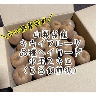 山梨県産　無農薬　キウイフルーツ　ヘイワード　小玉2キロ入り（３８個前後）(フルーツ)