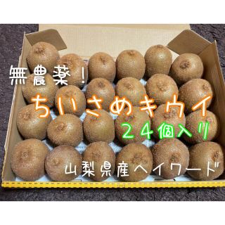 山梨県産　無農薬　キウイフルーツ　ヘイワード　小さめ２４個入り(フルーツ)