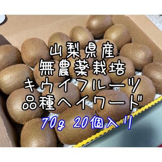 山梨県産　無農薬　キウイフルーツ　ヘイワード　７０g２０個入り(フルーツ)