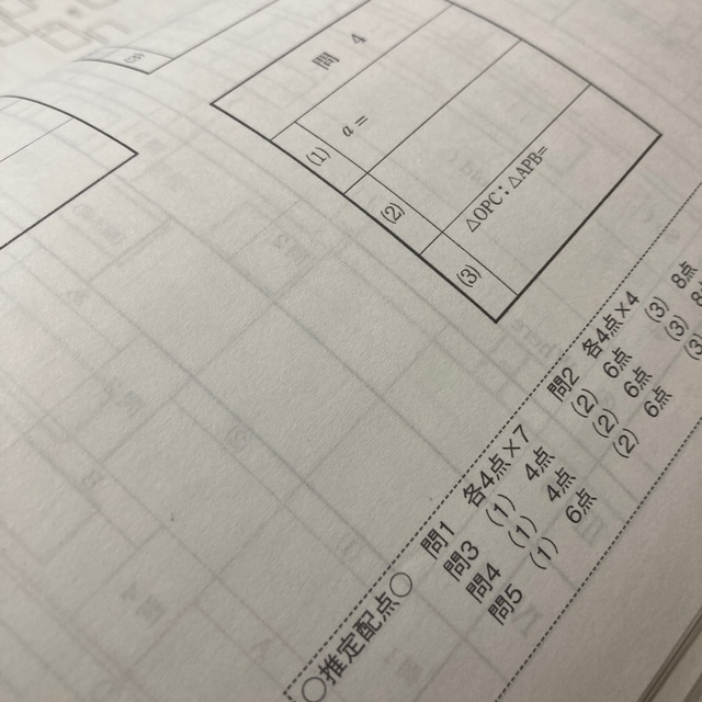 専修大学附属高等学校　2021 過去問 エンタメ/ホビーの本(語学/参考書)の商品写真