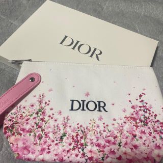 ディオール(Dior)のDIOR ポーチ(ポーチ)