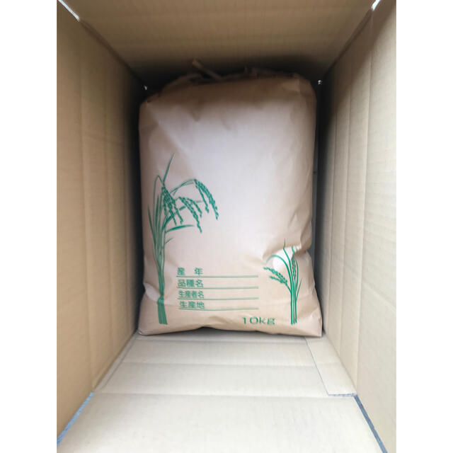 玄米20kg(10kg袋x2)　米/穀物