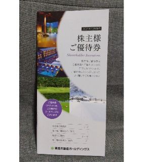 匿名発送 東急不動産ホールディングス　株主優待券(宿泊券)