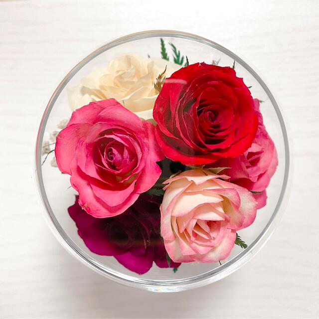 【ラッピング無料】新品 高級 プリザーブドフラワー ガラスドーム 薔薇 バラ 赤