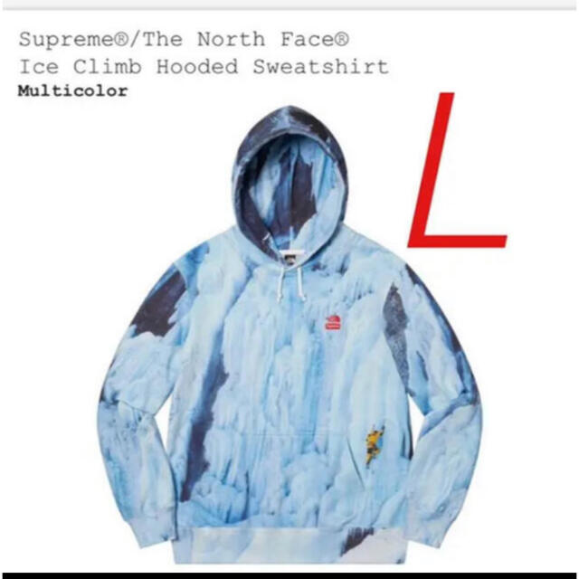 Supreme The North Face Ice Climb Hooded