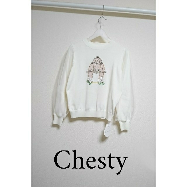 Chesty(チェスティ)の新品 Chesty バードゲージニット 美人百花 Chay レディースのトップス(ニット/セーター)の商品写真