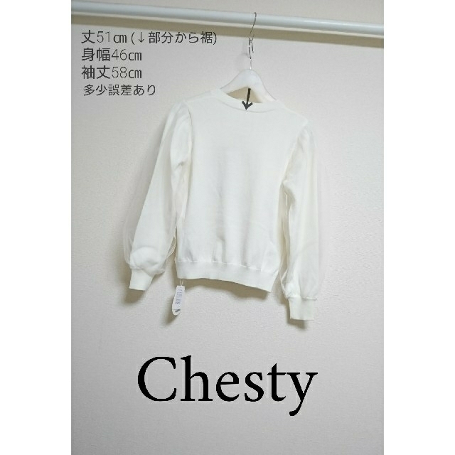 Chesty(チェスティ)の新品 Chesty バードゲージニット 美人百花 Chay レディースのトップス(ニット/セーター)の商品写真