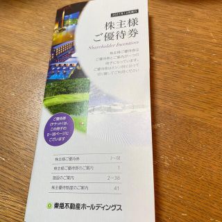 東急不動産ホールディングス　株主優待　5000株以上(その他)