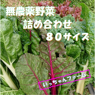 冬を感じる野菜セット　冬野菜の詰め合わせ　８０サイズ　１２月１１日の発送(野菜)