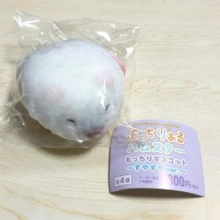 もっちりあるハムスター パールホワイト ガチャガチャ(ぬいぐるみ)