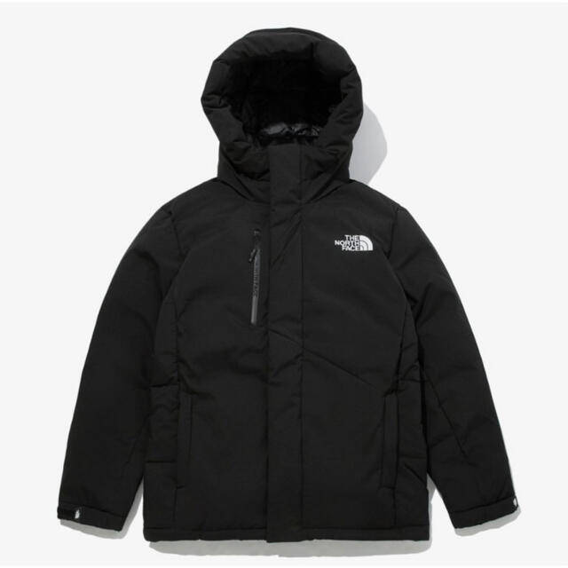 【新品超特価】THE NORTH FACE ダウンジャケット(L)