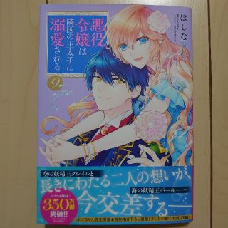 悪役令嬢は隣国の王太子に溺愛される ９(その他)