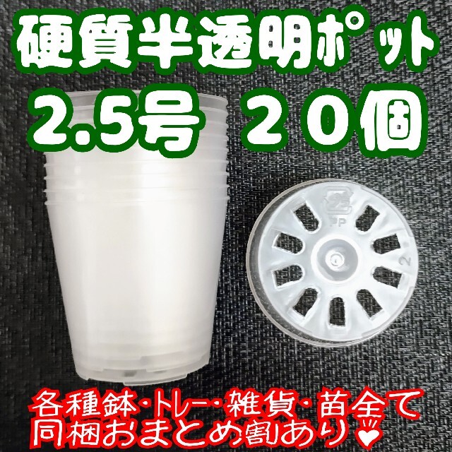 硬質半透明ポリポット 2.5号 7.5cm 20個 プラ鉢 多肉植物 プレステラ ハンドメイドのフラワー/ガーデン(プランター)の商品写真