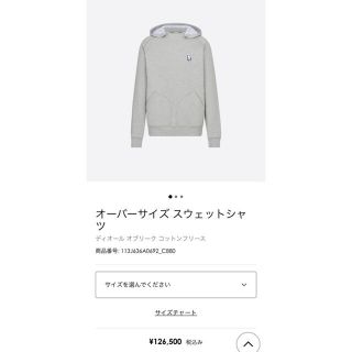 ディオールオム(DIOR HOMME)のディオールオム　オブリーク柄　パーカー　スウェット　M(パーカー)