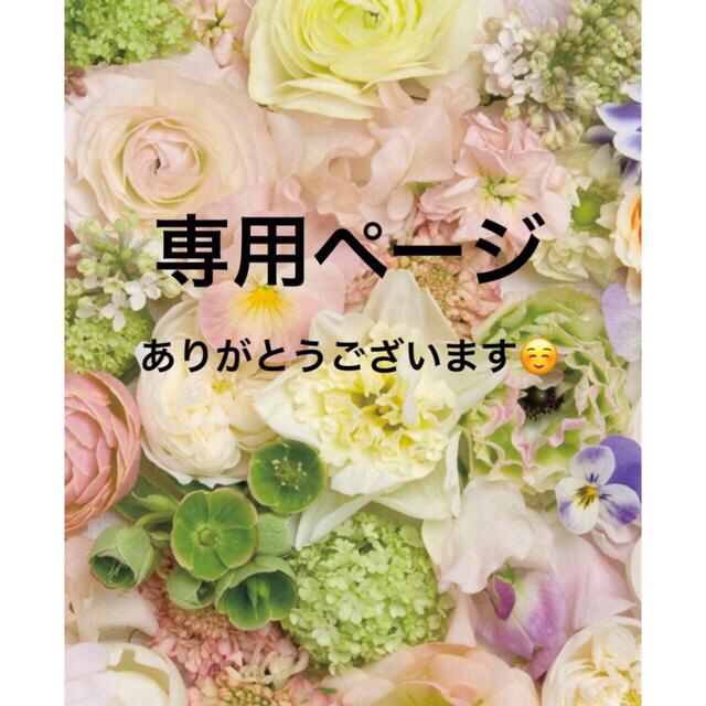 ＊はんきち6767様専用＊ ハンドメイドのハンドメイド その他(その他)の商品写真